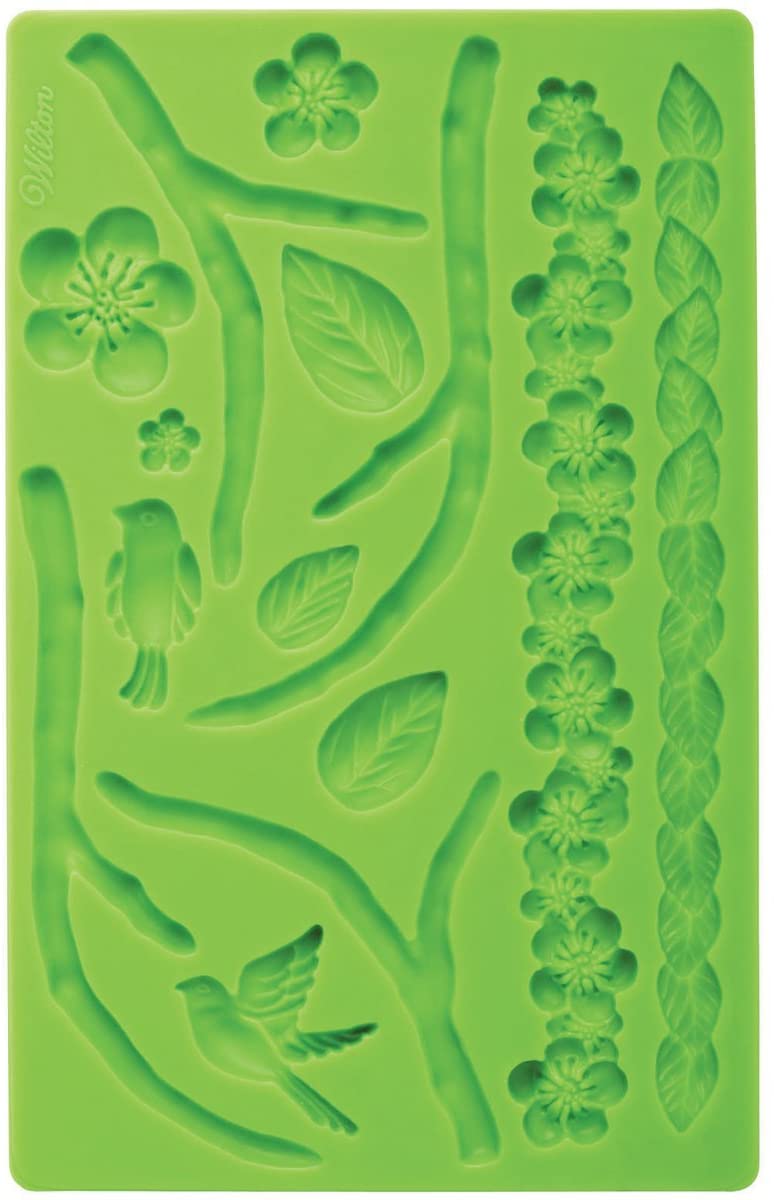Molde de Silicon y Pasta de Goma Naturaleza